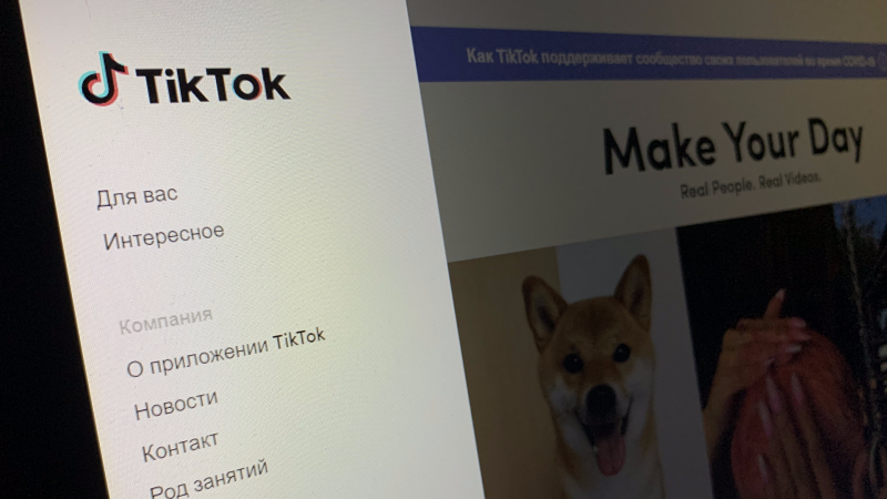 Роскомнадзор не получал обращения с просьбой заблокировать TikTok