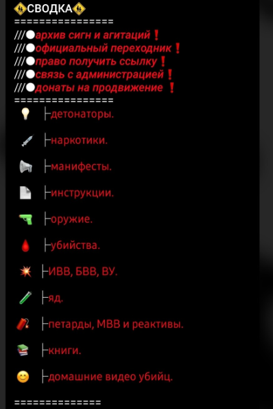 "Тайная сеть". Стало известно, кто стоит за напавшим на школу подростком 